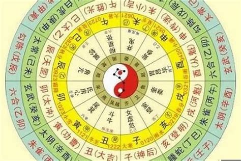 生肖五行顏色|五行命理！12生肖的幸運數字和顏色